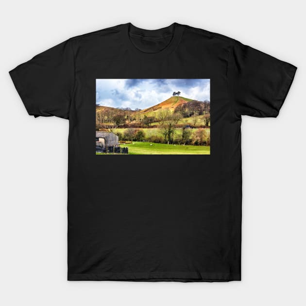 Colmers Hill Landscape T-Shirt by InspiraImage